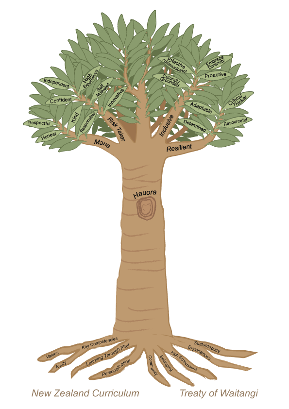 6_Kauri_1.5